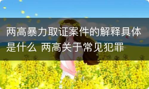 两高暴力取证案件的解释具体是什么 两高关于常见犯罪