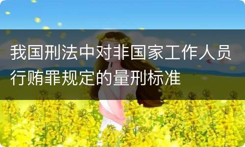 我国刑法中对非国家工作人员行贿罪规定的量刑标准