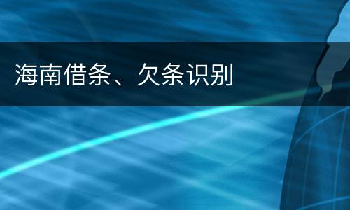 海南借条、欠条识别