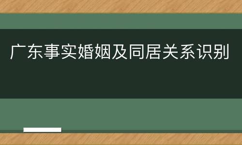 广东事实婚姻及同居关系识别