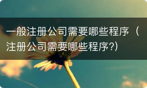 一般注册公司需要哪些程序（注册公司需要哪些程序?）