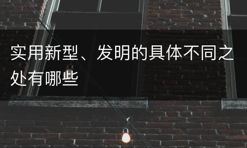 实用新型、发明的具体不同之处有哪些