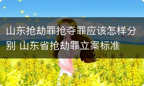 山东抢劫罪抢夺罪应该怎样分别 山东省抢劫罪立案标准