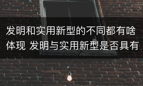 发明和实用新型的不同都有啥体现 发明与实用新型是否具有实用性