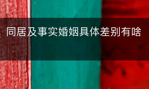 同居及事实婚姻具体差别有啥