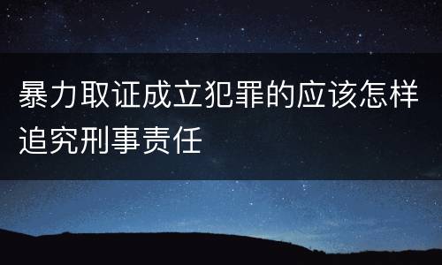 暴力取证成立犯罪的应该怎样追究刑事责任
