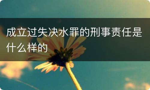 成立过失决水罪的刑事责任是什么样的