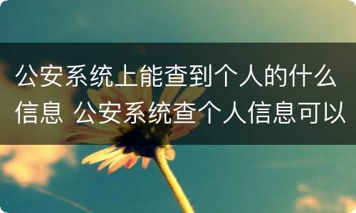 公安系统上能查到个人的什么信息 公安系统查个人信息可以查到什么