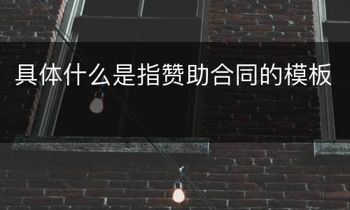 具体什么是指赞助合同的模板