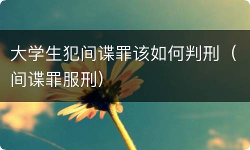 大学生犯间谍罪该如何判刑（间谍罪服刑）