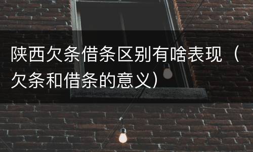 陕西欠条借条区别有啥表现（欠条和借条的意义）