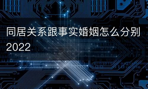 同居关系跟事实婚姻怎么分别2022