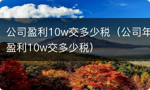 公司盈利10w交多少税（公司年盈利10w交多少税）
