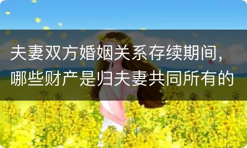 夫妻双方婚姻关系存续期间，哪些财产是归夫妻共同所有的