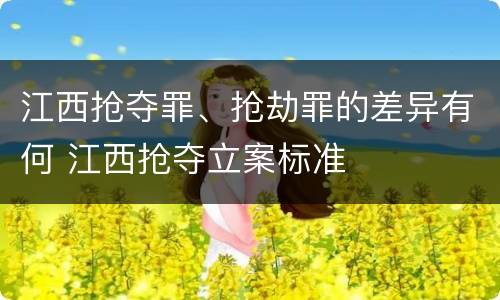 江西抢夺罪、抢劫罪的差异有何 江西抢夺立案标准