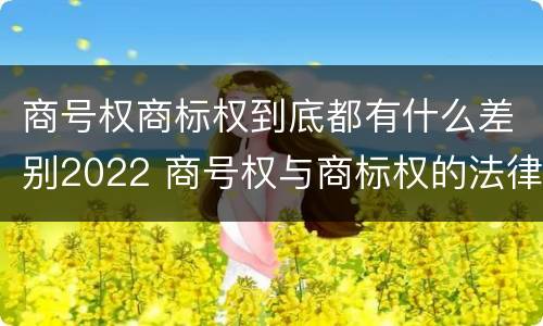 商号权商标权到底都有什么差别2022 商号权与商标权的法律冲突与解决