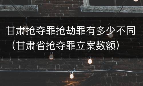 甘肃抢夺罪抢劫罪有多少不同（甘肃省抢夺罪立案数额）
