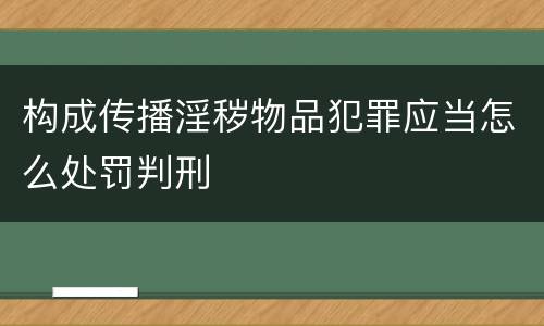构成传播淫秽物品犯罪应当怎么处罚判刑