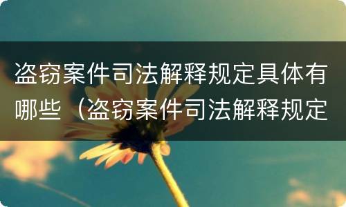盗窃案件司法解释规定具体有哪些（盗窃案件司法解释规定具体有哪些条款）