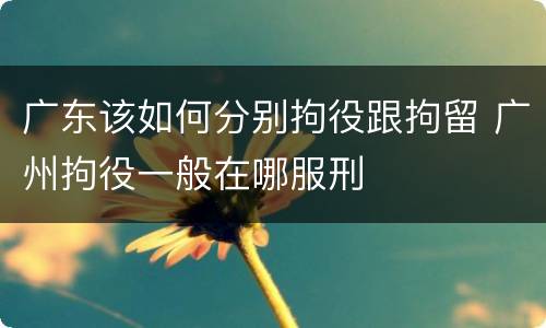 广东该如何分别拘役跟拘留 广州拘役一般在哪服刑