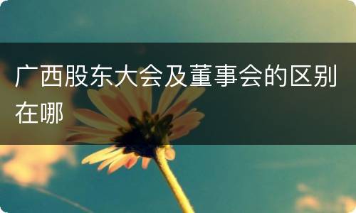 广西股东大会及董事会的区别在哪