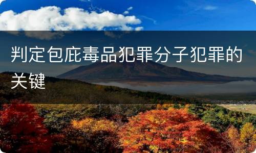 判定包庇毒品犯罪分子犯罪的关键