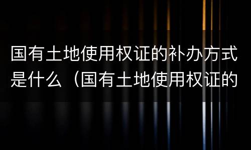 国有土地使用权证的补办方式是什么（国有土地使用权证的补办方式是什么样的）