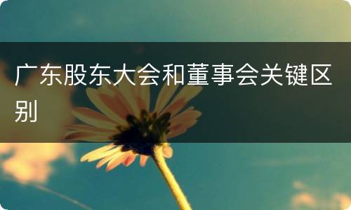 广东股东大会和董事会关键区别