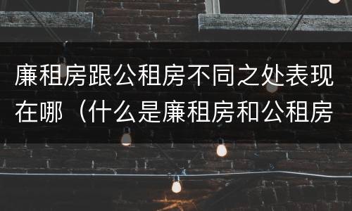 廉租房跟公租房不同之处表现在哪（什么是廉租房和公租房两个有什么特点）