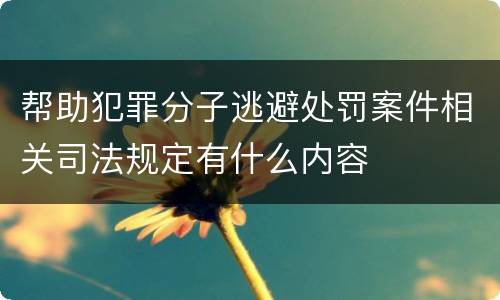 帮助犯罪分子逃避处罚案件相关司法规定有什么内容