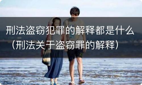 刑法盗窃犯罪的解释都是什么（刑法关于盗窃罪的解释）