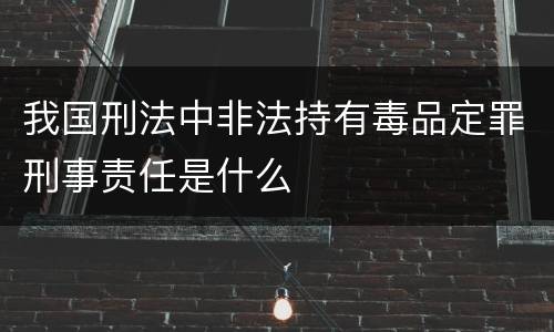 我国刑法中非法持有毒品定罪刑事责任是什么