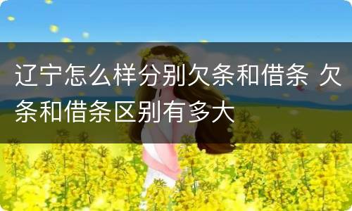 辽宁怎么样分别欠条和借条 欠条和借条区别有多大