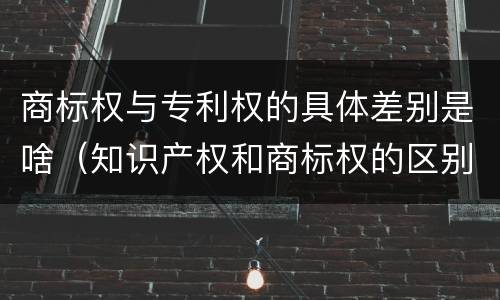 商标权与专利权的具体差别是啥(知识产权和商标权的区别)