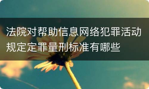 法院对帮助信息网络犯罪活动规定定罪量刑标准有哪些