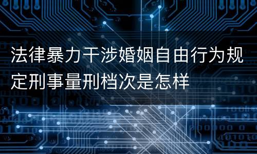 法律暴力干涉婚姻自由行为规定刑事量刑档次是怎样
