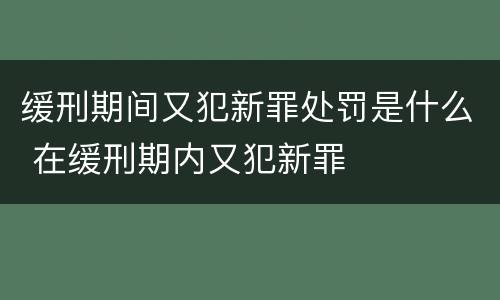 缓刑期间又犯新罪处罚是什么 在缓刑期内又犯新罪