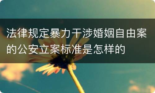 法律规定暴力干涉婚姻自由案的公安立案标准是怎样的