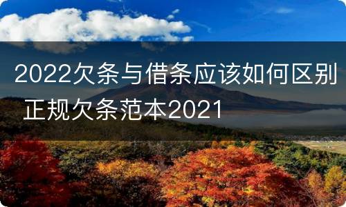 2022欠条与借条应该如何区别 正规欠条范本2021