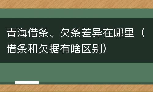 青海借条、欠条差异在哪里（借条和欠据有啥区别）