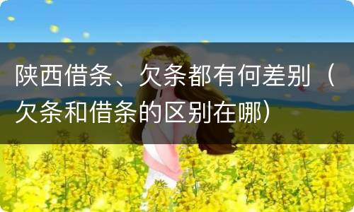 陕西借条、欠条都有何差别（欠条和借条的区别在哪）