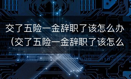 交了五险一金辞职了该怎么办（交了五险一金辞职了该怎么办手续）