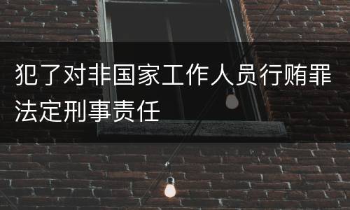 犯了对非国家工作人员行贿罪法定刑事责任