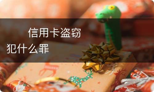 　　信用卡盗窃犯什么罪