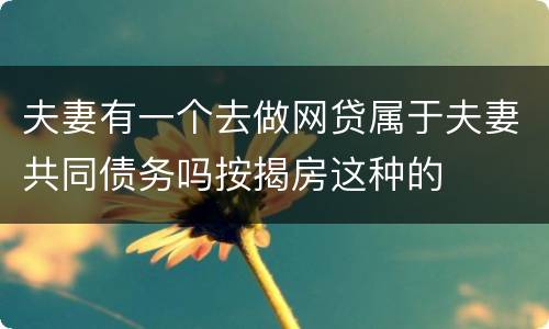 夫妻有一个去做网贷属于夫妻共同债务吗按揭房这种的