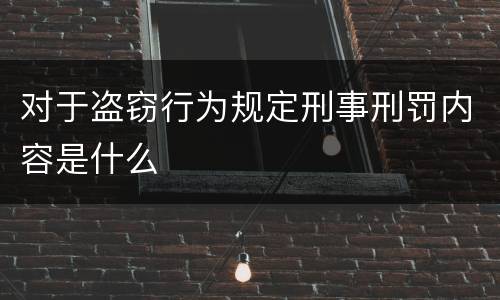 对于盗窃行为规定刑事刑罚内容是什么