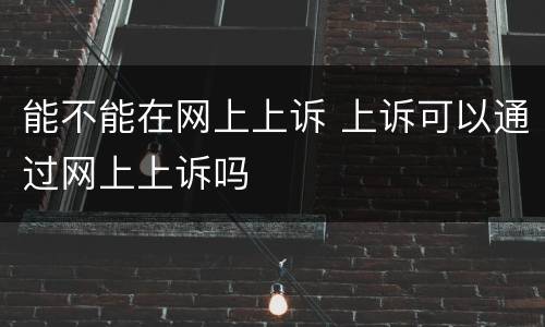 能不能在网上上诉 上诉可以通过网上上诉吗