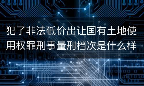 犯了非法低价出让国有土地使用权罪刑事量刑档次是什么样