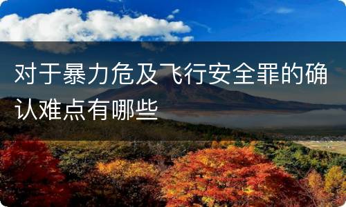 对于暴力危及飞行安全罪的确认难点有哪些