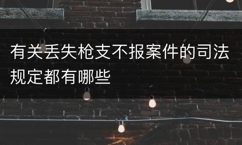 有关丢失枪支不报案件的司法规定都有哪些